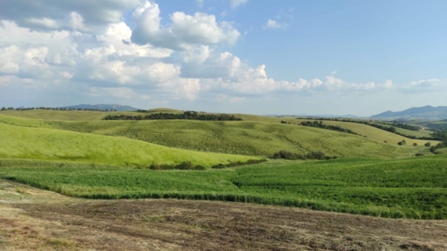 Rostivendolo al Birrificio Agricolo Poggiorosso