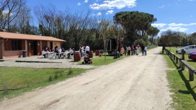 Rostivendolo Maneggio Pineta Salviati Gara Monta da Lavoro